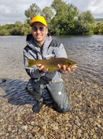 Belle brown trout de la Suir